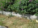 image of grave number 151738